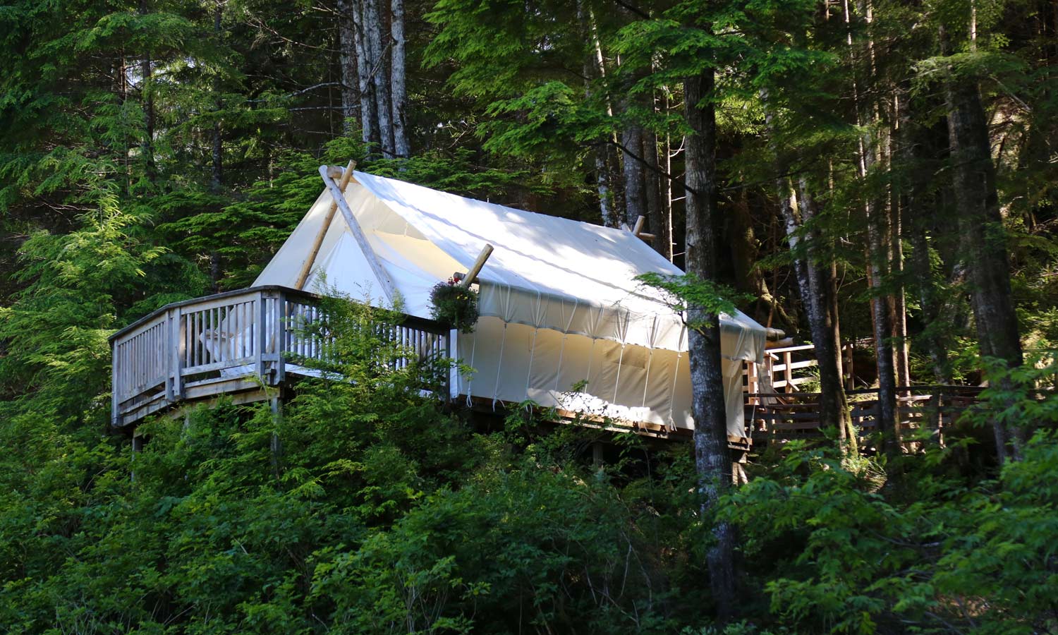 deluxe tent in the trees 