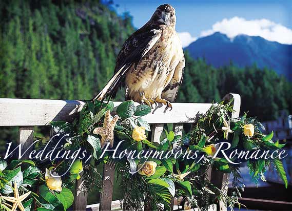 Weddings, Honeymoons, Romance - Clayoquot Wilderness Resorts, Tofino, British Columbia, Canada 