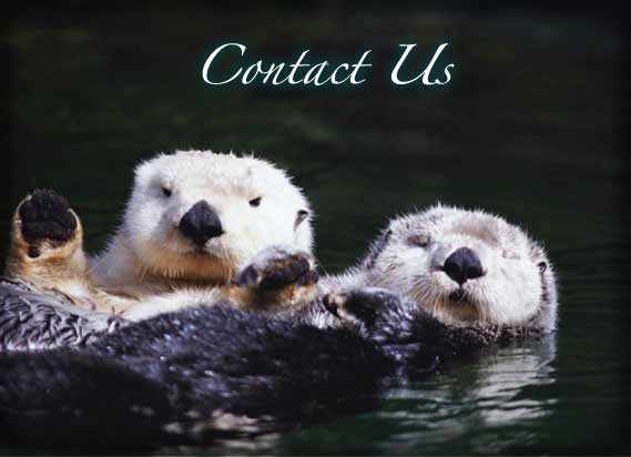 Contact Clayoquot Wilderness Resorts, Tofino, British Columbia, Canada 