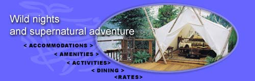 Clayoquot Wilderness Resorts - Accommodations, Amenities, Activities, Dining