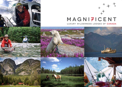 magnificent-7-collage