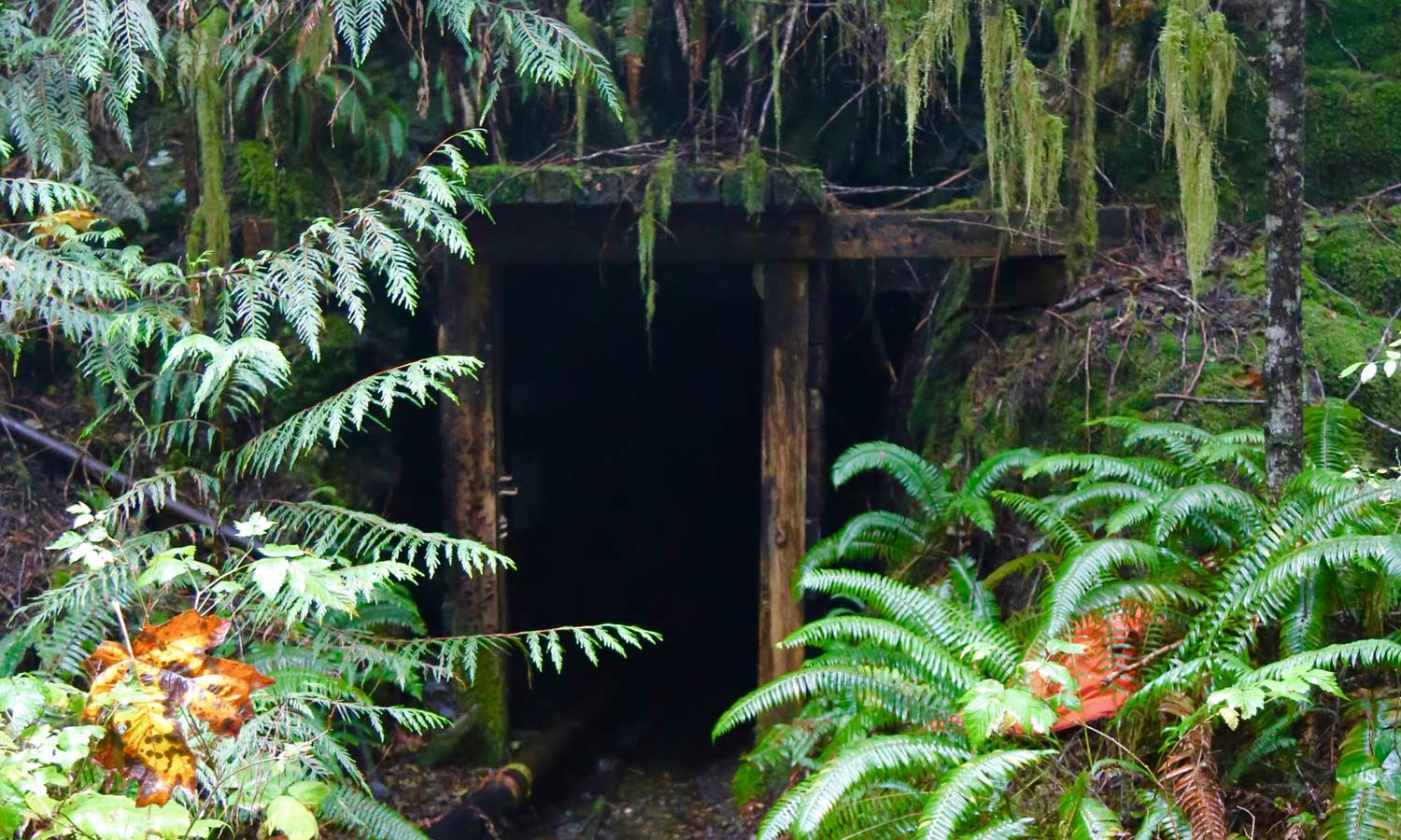 Abandoned Gold Mine Entrance 