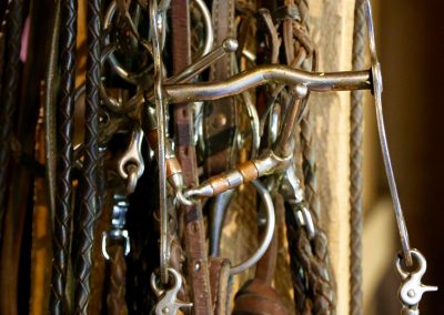 CWR Horse Bridles Hanging in Barn