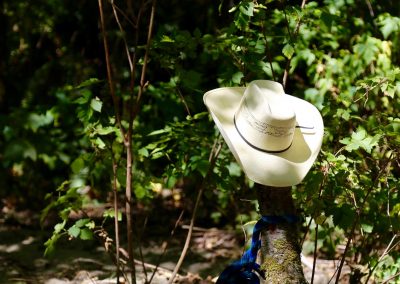 CWR Cowboy Hat Trail Marker