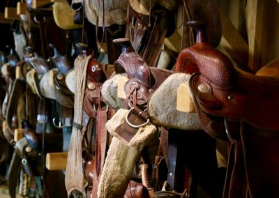 CWR Dusty Saddles in Tack Room