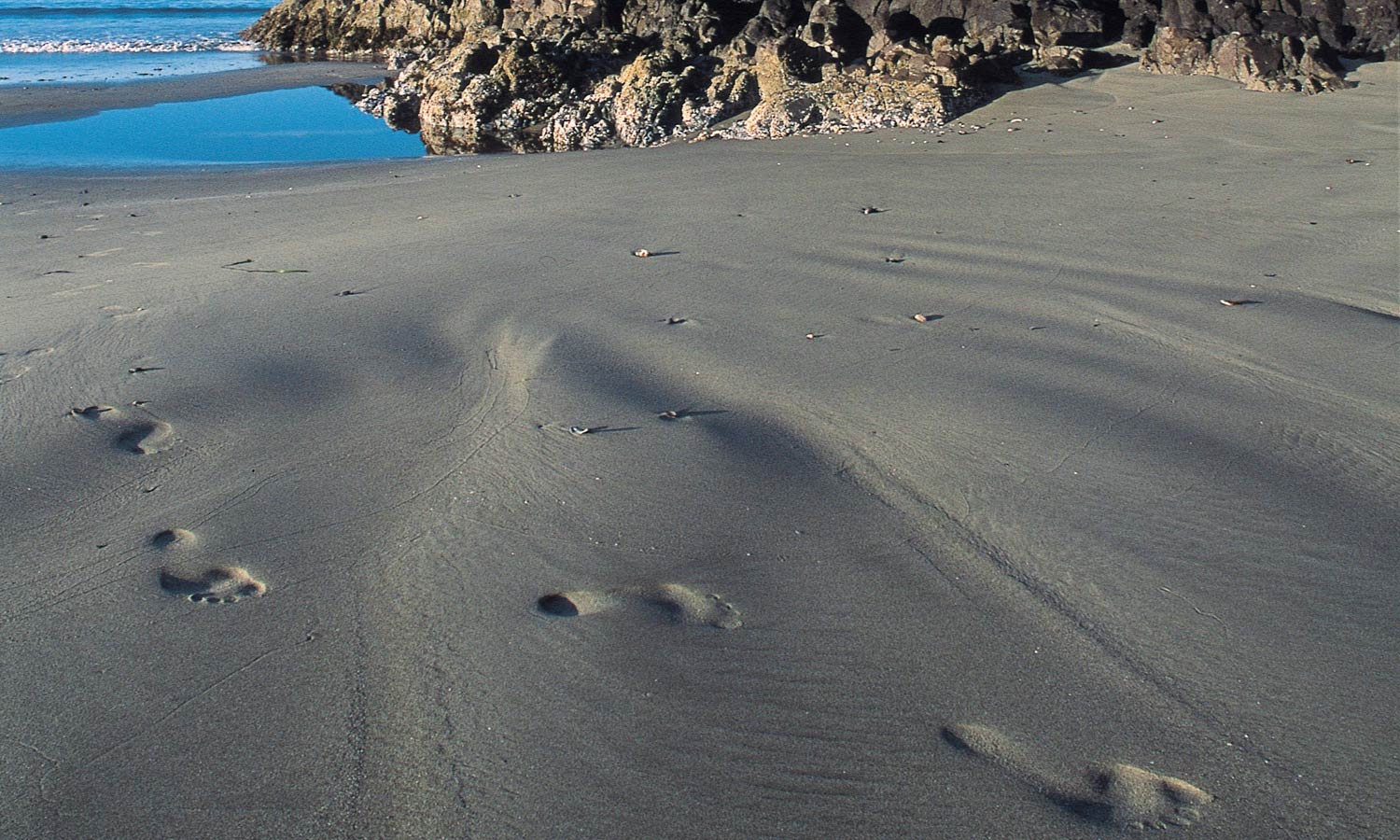 footprints sand flores