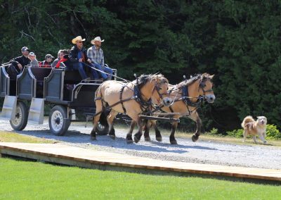 CWR Arriving by Horsedrawn Wagon